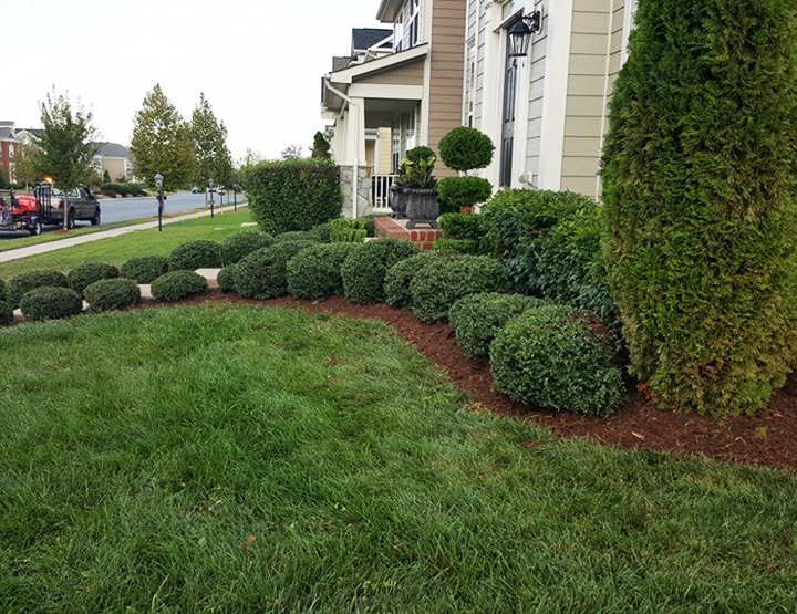 Affordable Lawn Curb Appeal 1