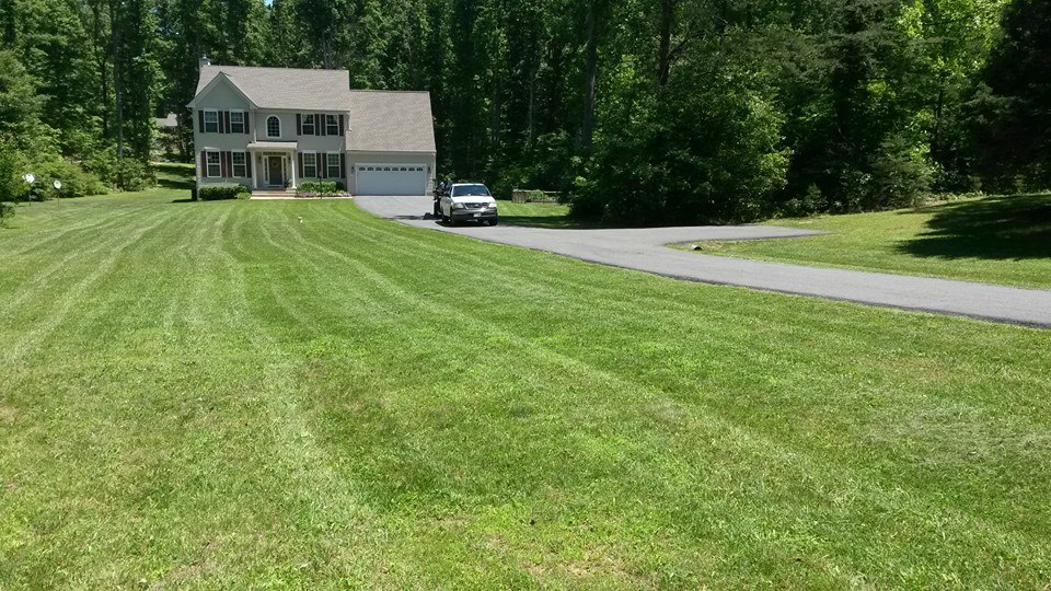 Lawn Care Fredericksburg Virginia