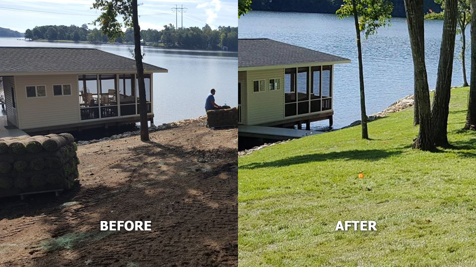 Sod Installation Fredericksburg Virginia