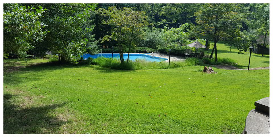 Lush Green Grass Rejuvenated Lawn Fredericksburg Virginia