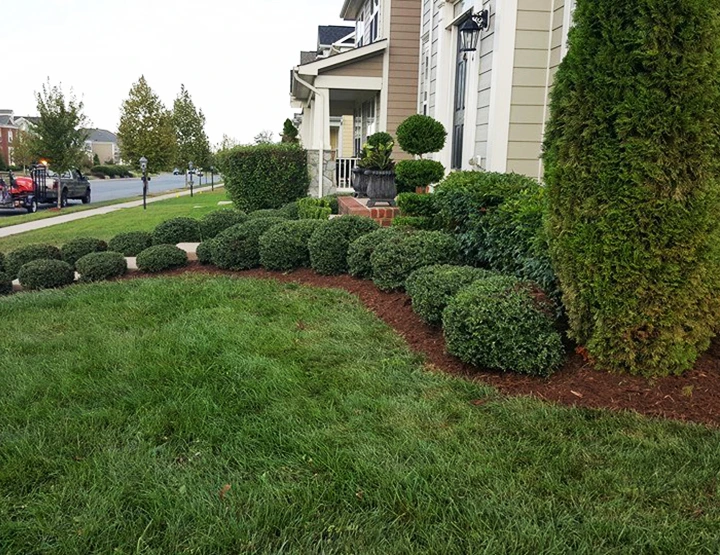 affordable lawn and landscaping Curb