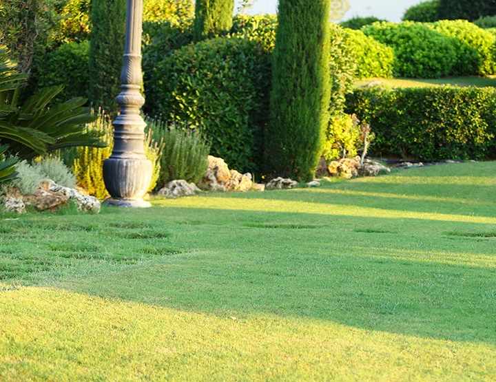 affordable lawn and landscaping Mowing FredericksburgVirginia