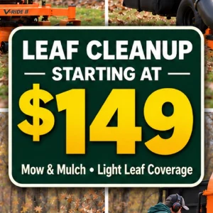 Leaf cleanup starting at $149 from Affordable Lawn & Landscaping